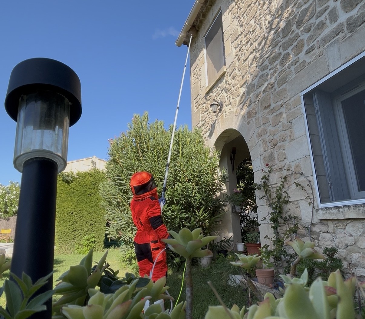 Technicien Mistral 3D en combinaison de protection rouge traitant un nid de frelons à l'aide d'une perche sur une façade en pierre